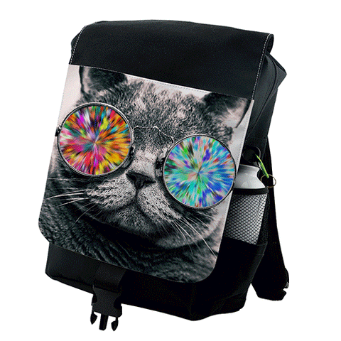 Backpack